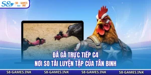 Đá Gà Trực Tiếp C4 - Nơi So Tài Luyện Tập Của Tân Binh