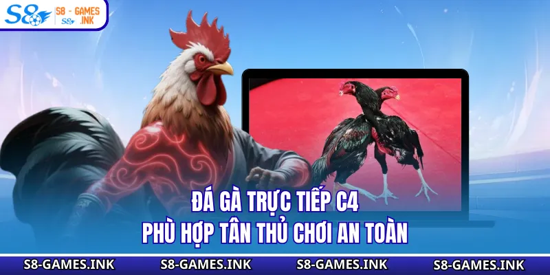 Đá gà trực tiếp C4 phù hợp tân thủ chơi an toàn