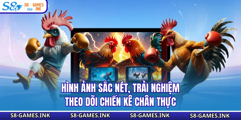 Hình ảnh sắc nét, trải nghiệm theo dõi chiến kê chân thực